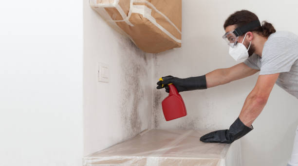 Professional Crawl Space Mold Remediation technician working in Walloon Lake, MI